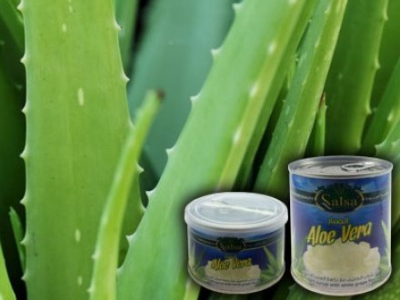 Salsa food products are the leading suppliers of food products in Uae.We are the wholesale and retail suppliers of food products and nuts.We are the best importers and exporters in uae.