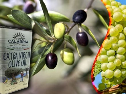 Salsa food products are the leading suppliers of food products in Uae.We are the wholesale and retail suppliers of food products and nuts.We are the best importers and exporters in uae.